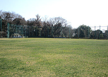 施設紹介 文京区立 目白台運動公園