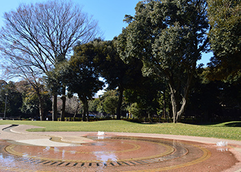 施設紹介 文京区立 目白台運動公園